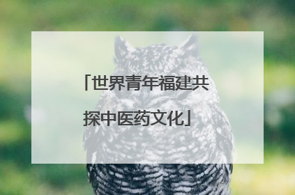 世界青年福建共探中医药文化