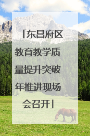 东昌府区教育教学质量提升突破年推进现场会召开