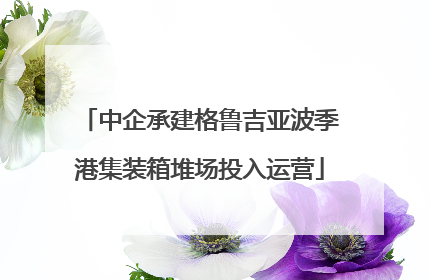中企承建格鲁吉亚波季港集装箱堆场投入运营