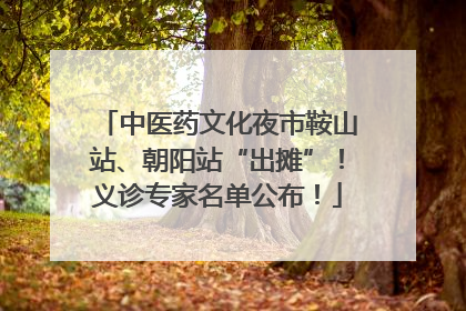 中医药文化夜市鞍山站、朝阳站“出摊”！义诊专家名单公布！