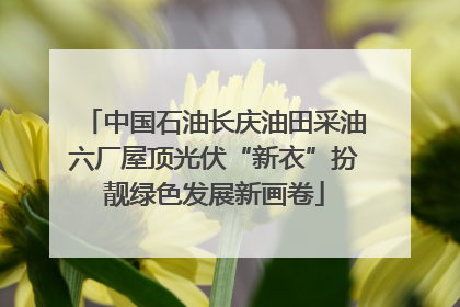 中国石油长庆油田采油六厂屋顶光伏“新衣”扮靓绿色发展新画卷