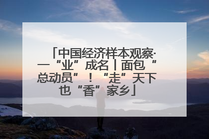 中国经济样本观察·一“业”成名丨面包“总动员”！“走”天下也“香”家乡