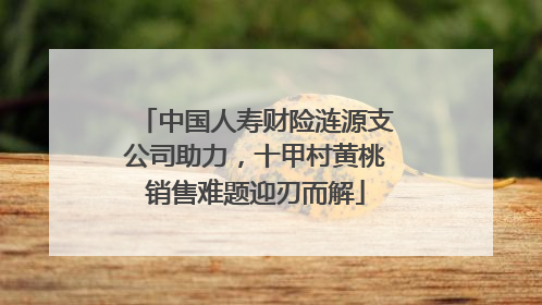 中国人寿财险涟源支公司助力，十甲村黄桃销售难题迎刃而解