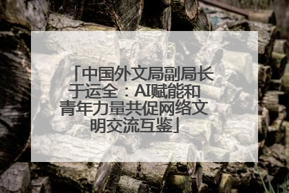 中国外文局副局长于运全：AI赋能和青年力量共促网络文明交流互鉴