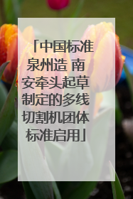 中国标准泉州造 南安牵头起草制定的多线切割机团体标准启用