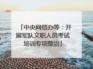 中央网信办等：开展军队文职人员考试培训专项整治