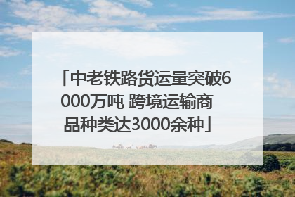 中老铁路货运量突破6000万吨 跨境运输商品种类达3000余种