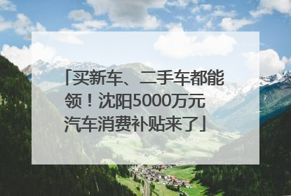 买新车、二手车都能领！沈阳5000万元汽车消费补贴来了