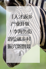 人才返乡 产业升级！李海务街道绘就乡村振兴新图景
