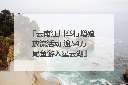 云南江川举行增殖放流活动 逾54万尾鱼游入星云湖