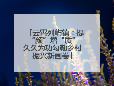 云霄列屿镇：提“颜”增“质” 久久为功勾勒乡村振兴新画卷