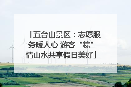 五台山景区：志愿服务暖人心 游客“粽”情山水共享假日美好