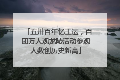 五卅百年忆工运，百团万人观龙陵活动参观人数创历史新高