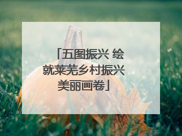 五图振兴 绘就莱芜乡村振兴美丽画卷