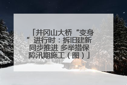 井冈山大桥“变身”进行时：拆旧建新同步推进 多举措保障汛期施工（图）