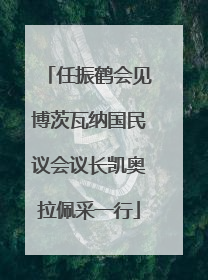 任振鹤会见博茨瓦纳国民议会议长凯奥拉佩采一行