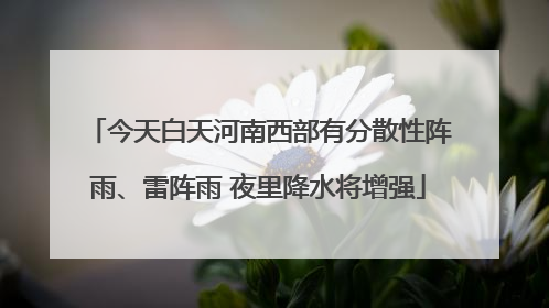 今天白天河南西部有分散性阵雨、雷阵雨 夜里降水将增强