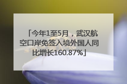 今年1至5月，武汉航空口岸免签入境外国人同比增长160.87%