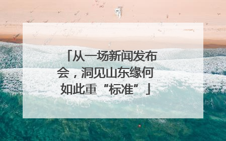 从一场新闻发布会，洞见山东缘何如此重“标准”