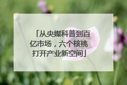 从央媒科普到百亿市场，六个核桃打开产业新空间