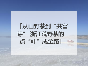 从山野茶到“共富芽” 浙江荒野茶的点“叶”成金路
