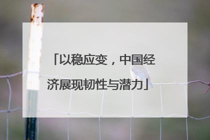 以稳应变，中国经济展现韧性与潜力