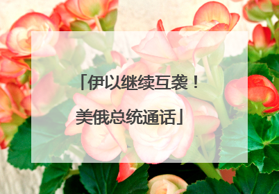 伊以继续互袭！美俄总统通话
