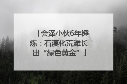 会泽小伙6年锤炼：石漠化荒滩长出“绿色黄金”