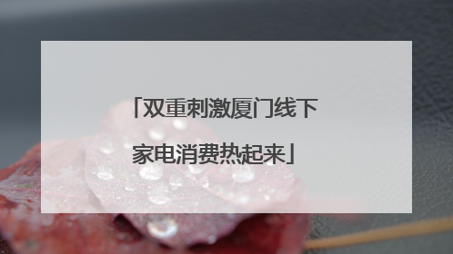双重刺激厦门线下家电消费热起来
