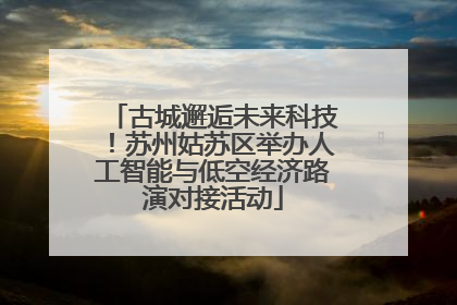 古城邂逅未来科技！苏州姑苏区举办人工智能与低空经济路演对接活动
