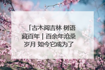 古木阅吉林 树语藏百年｜百余年沧桑岁月 如今它成为了“镇园之宝”