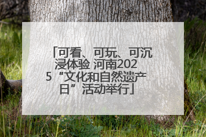 可看、可玩、可沉浸体验 河南2025“文化和自然遗产日”活动举行