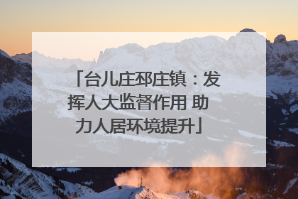台儿庄邳庄镇：发挥人大监督作用 助力人居环境提升