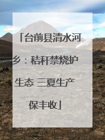 台前县清水河乡：秸秆禁烧护生态 三夏生产保丰收