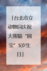 台北市立动物园庆祝大熊猫“圆宝”5岁生日