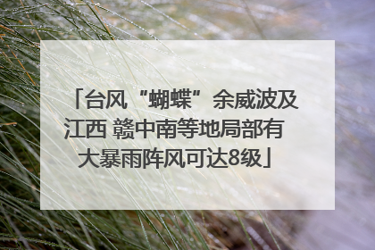 台风“蝴蝶”余威波及江西 赣中南等地局部有大暴雨阵风可达8级