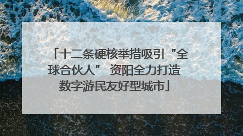 十二条硬核举措吸引“全球合伙人” 资阳全力打造数字游民友好型城市