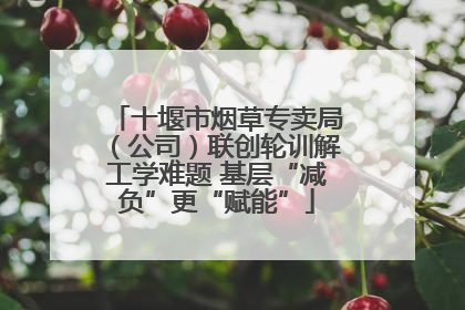 十堰市烟草专卖局（公司）联创轮训解工学难题 基层“减负”更“赋能”
