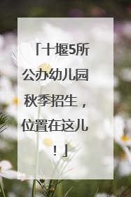 十堰5所公办幼儿园秋季招生，位置在这儿！