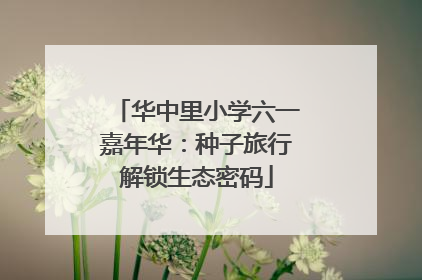 华中里小学六一嘉年华：种子旅行解锁生态密码