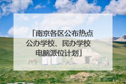 南京各区公布热点公办学校、民办学校电脑派位计划
