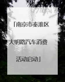 南京市秦淮区大明路汽车消费活动启动