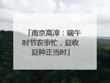 南京高淳：端午时节农事忙，夏收夏种正当时