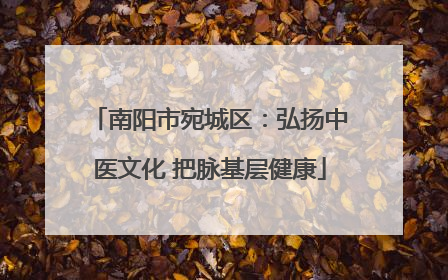 南阳市宛城区：弘扬中医文化 把脉基层健康