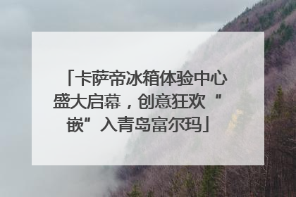 卡萨帝冰箱体验中心盛大启幕，创意狂欢“嵌”入青岛富尔玛