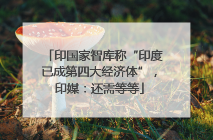 印国家智库称“印度已成第四大经济体”，印媒：还需等等
