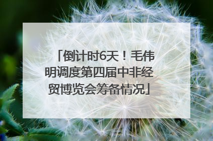 倒计时6天！毛伟明调度第四届中非经贸博览会筹备情况