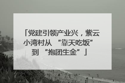 党建引领产业兴，紫云小湾村从 “靠天吃饭” 到 “抱团生金”