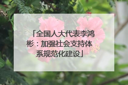 全国人大代表李鸿彬：加强社会支持体系规范化建设