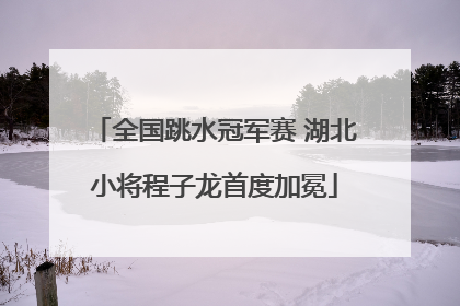 全国跳水冠军赛 湖北小将程子龙首度加冕